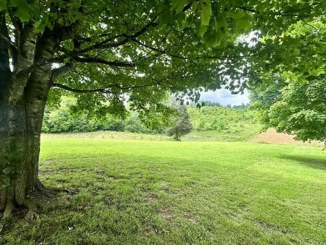 2996 Sugar Grove Valley Rd, Harriman, TN 37748 - view of green lawn