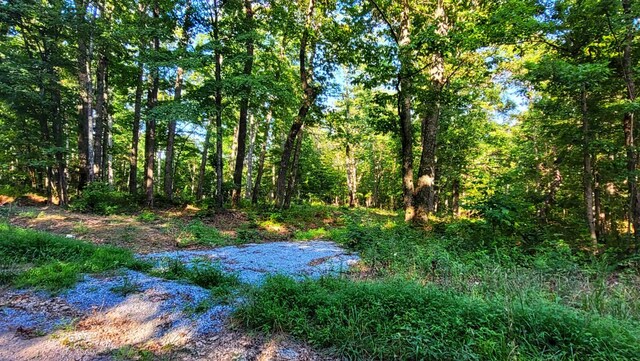1139 Chestnut Ridge Rd, Spring City, TN 37381 - photo 6
