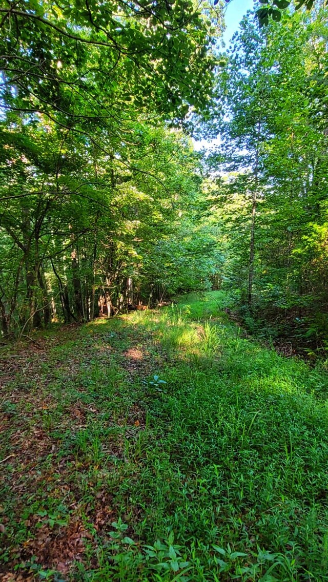 1139 Chestnut Ridge Rd, Spring City, TN 37381 - photo 8