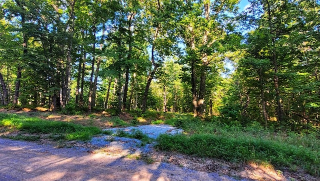 1139 Chestnut Ridge Rd, Spring City, TN 37381 - photo 4