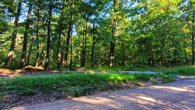 1139 Chestnut Ridge Rd, Spring City, TN 37381 - photo 5