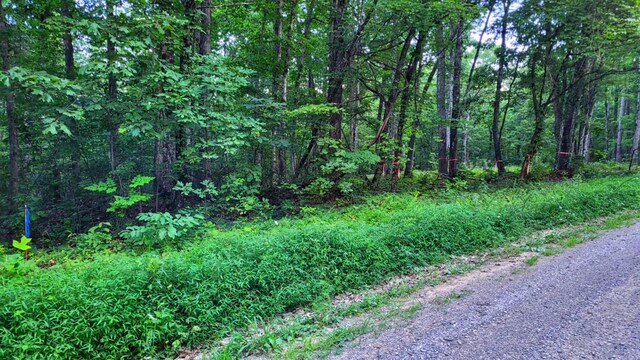 1139 Chestnut Ridge Rd, Spring City, TN 37381 - photo 15