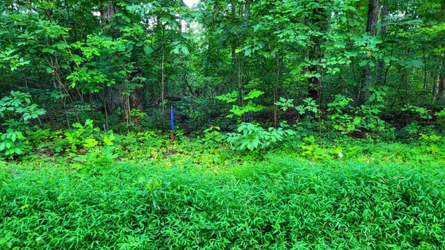 1139 Chestnut Ridge Rd, Spring City, TN 37381 - photo 16
