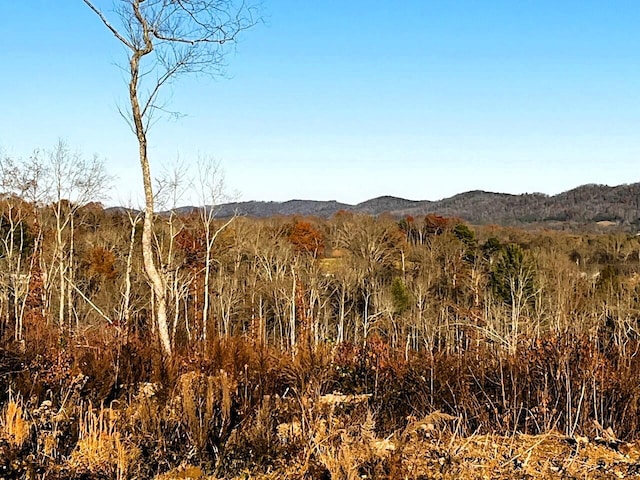 Listing photo 2 for 16.67AC Euchee Rd, Ten Mile TN 37880