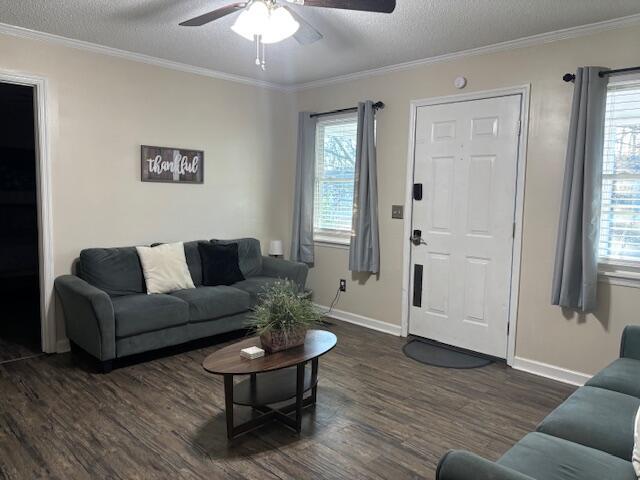 living room featuring a textured ceiling, dark hardwood / wood-style floors, and ornamental molding