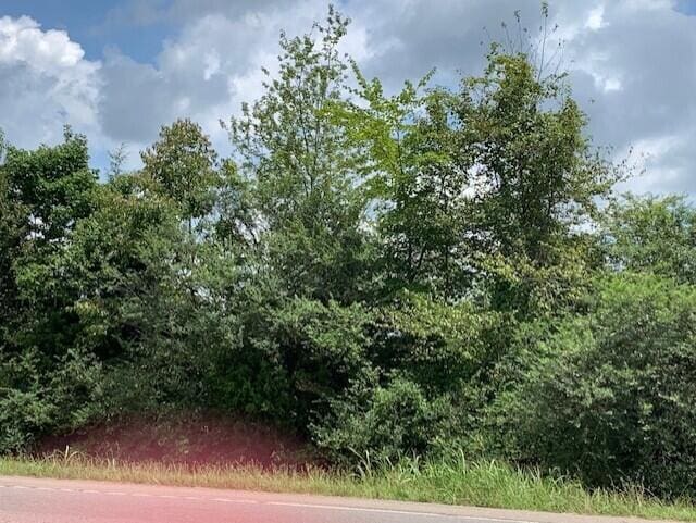 LOT2 Dalton Pike SE, Cleveland, TN 37323 - photo 1