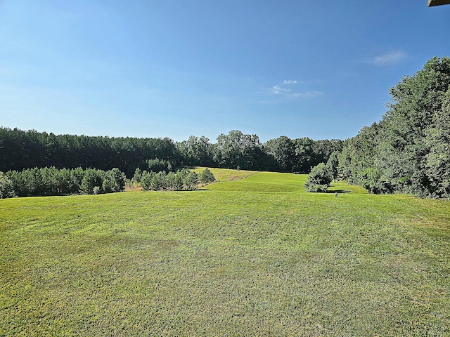 171 County Road 192, Niota, TN 37826 - photo 40