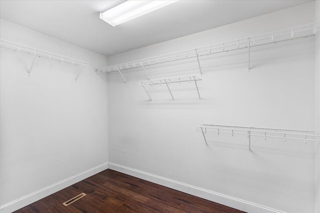 242 Mulberry Ln NE, Cleveland, TN 37312 - walk in closet with dark wood-style floors