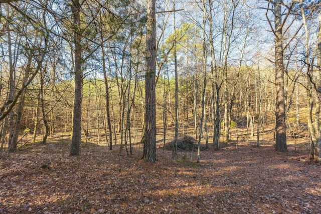 00 Georgetown Rd NW, Cleveland, TN 37312 - photo 4