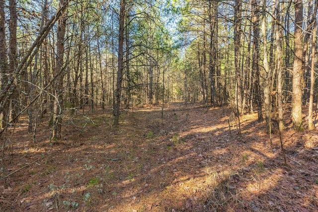 00 Georgetown Rd NW, Cleveland, TN 37312 - photo 13