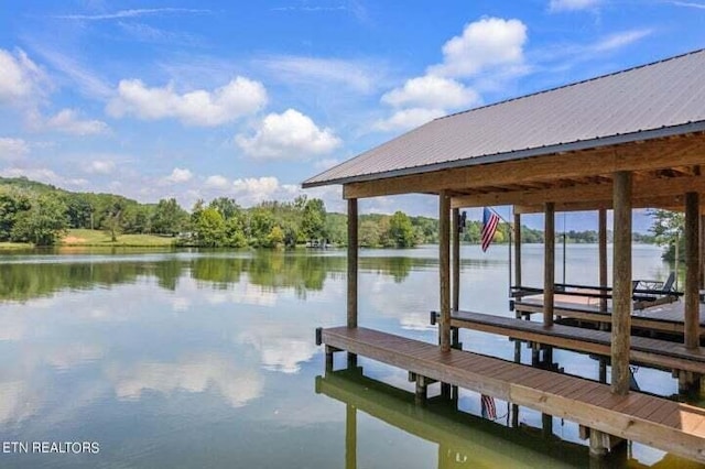 dock area with a water view