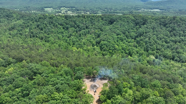 1250 Welcome Valley Rd, Benton, TN 37307