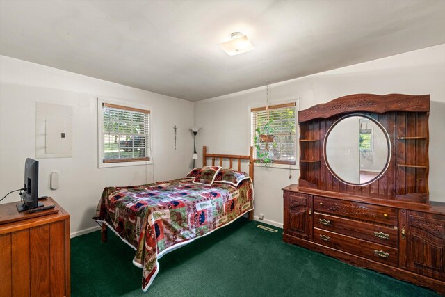 bedroom with electric panel and dark colored carpet