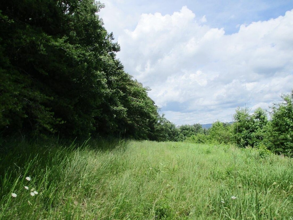 00 Ooltewah Cemetery Rd, Ooltewah, TN 37363 - photo 1