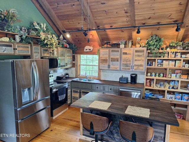 125 Hiwassee Cir, Reliance, TN 37369 - kitchen with appliances with stainless steel finishes, wood ceiling, rail lighting, light wood-style floors, and a sink