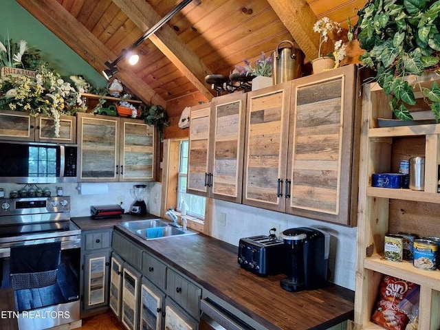 125 Hiwassee Cir, Reliance, TN 37369 - kitchen featuring stainless steel appliances, wood ceiling, a sink, glass insert cabinets, and wood counters