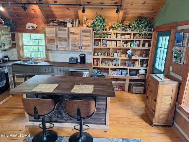 125 Hiwassee Cir, Reliance, TN 37369 - kitchen featuring rail lighting, a sink, light wood-style floors, wooden ceiling, and vaulted ceiling