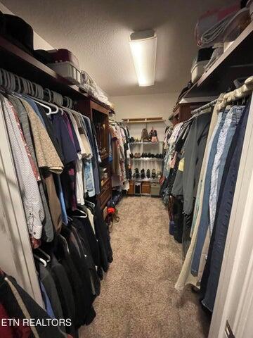 spacious closet with carpet floors