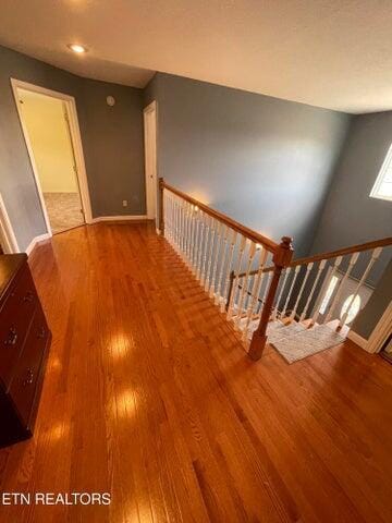 staircase featuring wood-type flooring