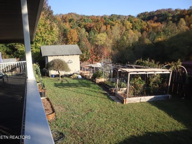 view of yard featuring a storage unit