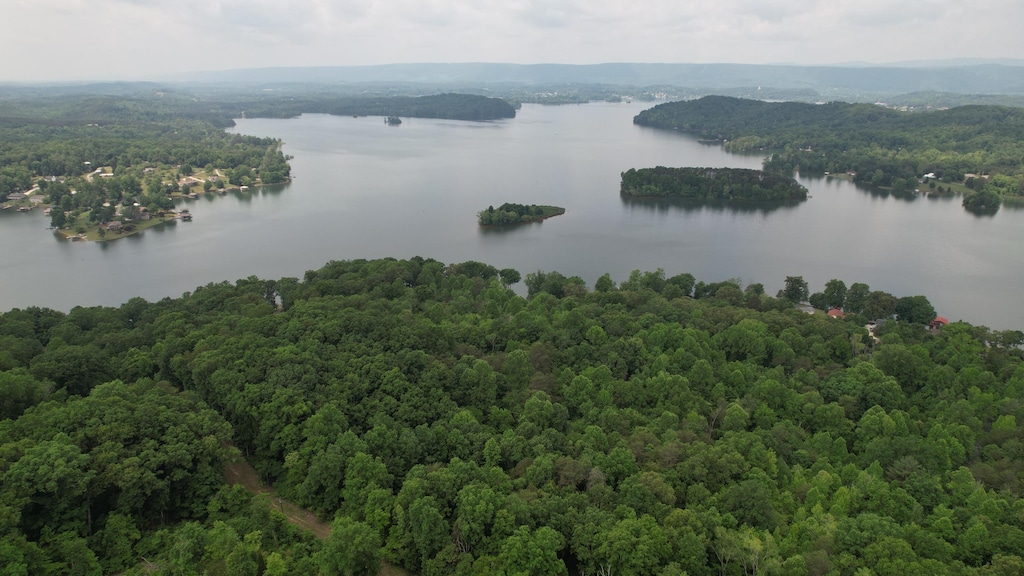 0 Cypress Dr, Spring City, TN 37381 - photo 3