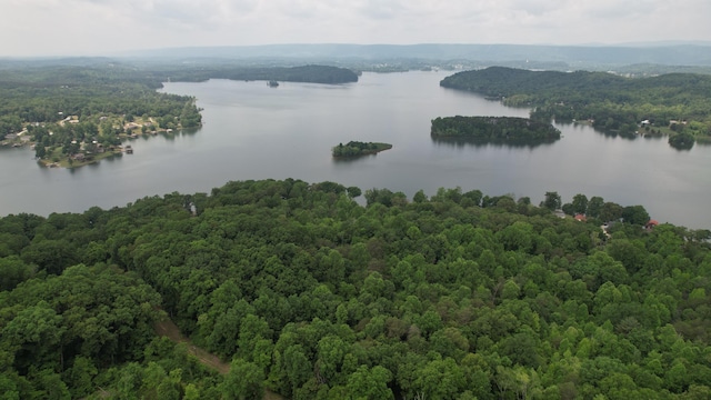 0 Cypress Dr, Spring City, TN 37381 - photo 3