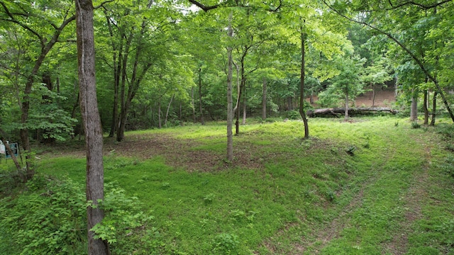 0 Cypress Dr, Spring City, TN 37381 - photo 2