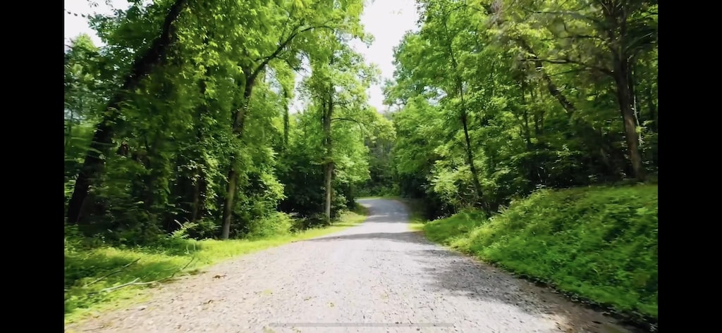 0 Cypress Dr, Spring City, TN 37381 - photo 4