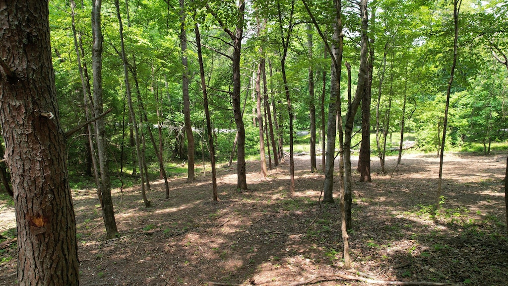 0 Cypress Dr, Spring City, TN 37381 - photo 1