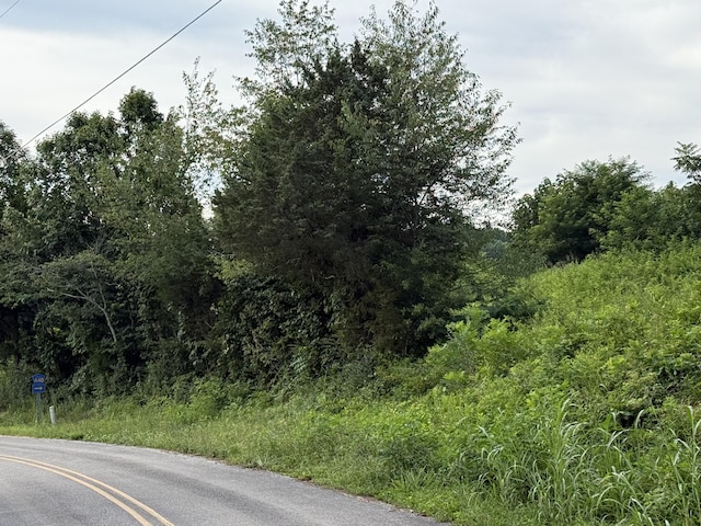 705 County Road 446, Athens, TN 37303 - photo 6