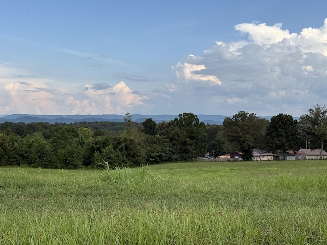 705 County Road 446, Athens, TN 37303 - photo 1