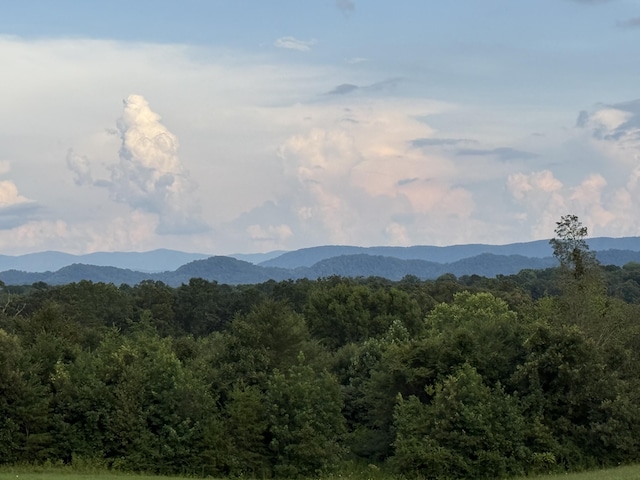 705 County Road 446, Athens, TN 37303 - photo 2