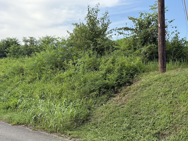 705 County Road 446, Athens, TN 37303 - photo 7