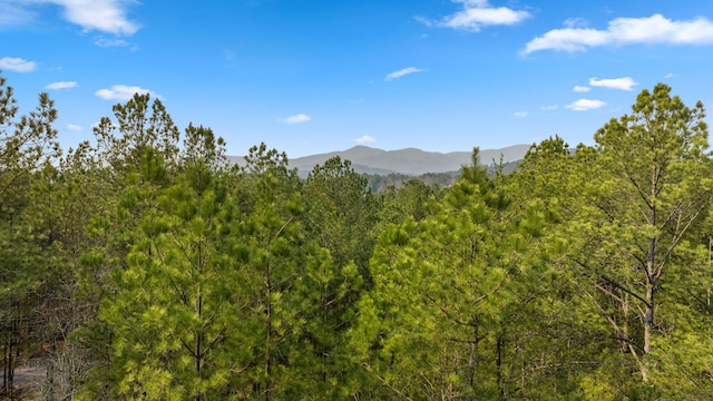 120 Hummingbird Way, Copperhill, TN 37317 - photo 3