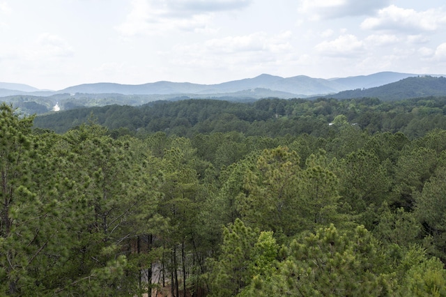 120 Hummingbird Way, Copperhill, TN 37317 - view of mountain backdrop featuring a heavily wooded area