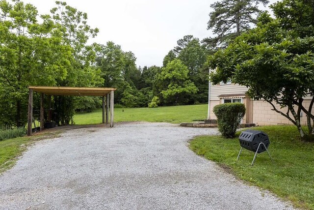 229 Plerce Hill St, Spring City, TN 37381 - view of dirt / gravel driveway