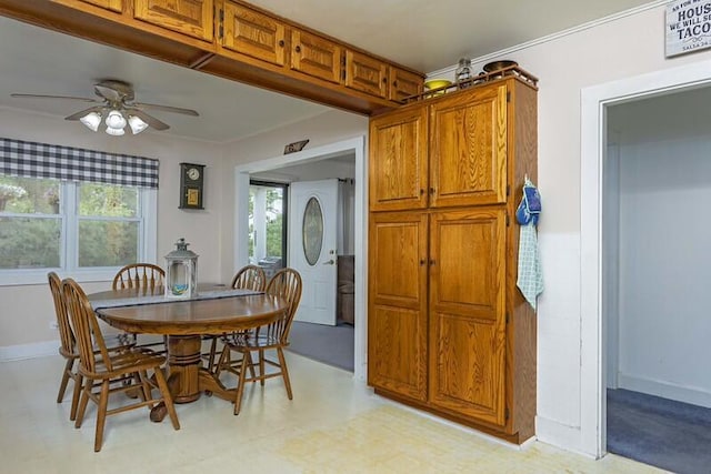 229 Plerce Hill St, Spring City, TN 37381 - dining space with ceiling fan, light floors, and baseboards