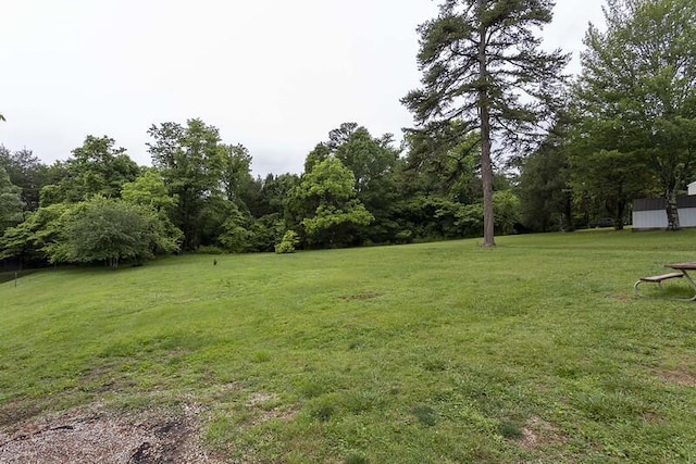229 Plerce Hill St, Spring City, TN 37381 - view of green lawn
