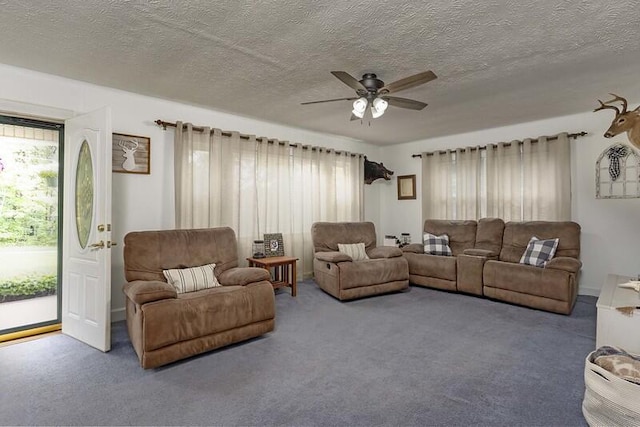 229 Plerce Hill St, Spring City, TN 37381 - carpeted living area featuring ceiling fan and a textured ceiling