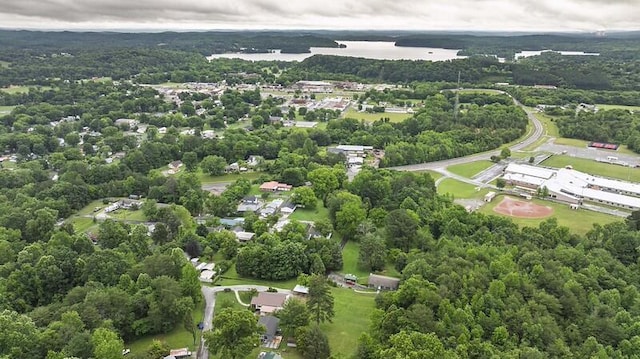 229 Plerce Hill St, Spring City, TN 37381 - aerial view of property and surrounding area with a forest