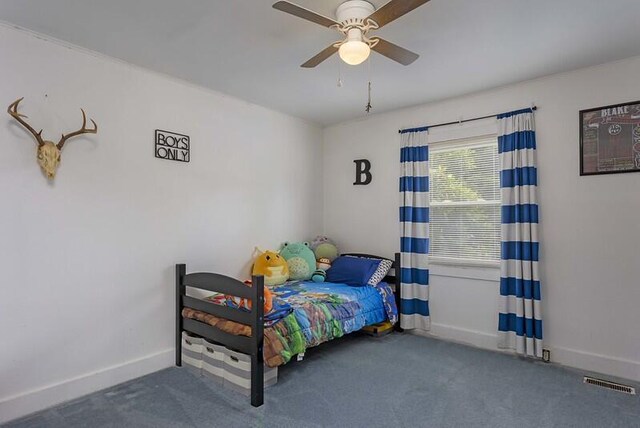 229 Plerce Hill St, Spring City, TN 37381 - carpeted bedroom featuring baseboards and ceiling fan