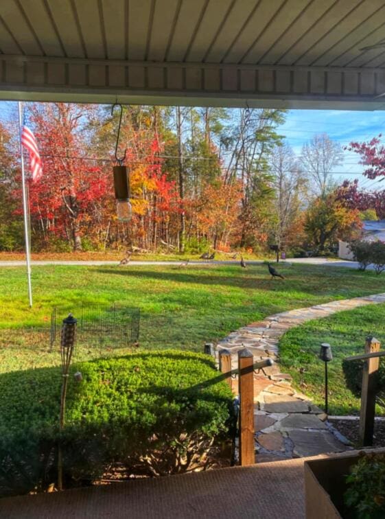 229 Plerce Hill St, Spring City, TN 37381 - view of green lawn