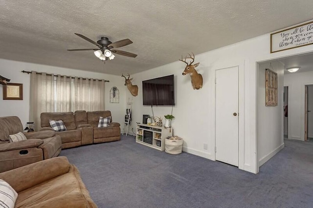 229 Plerce Hill St, Spring City, TN 37381 - living room with a ceiling fan, carpet, a textured ceiling, and baseboards