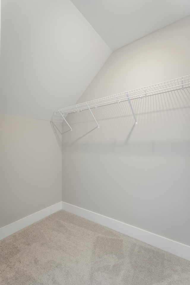 5118 Judd Way NW Unit 21, Cleveland, TN 37312 - walk in closet featuring carpet flooring and vaulted ceiling