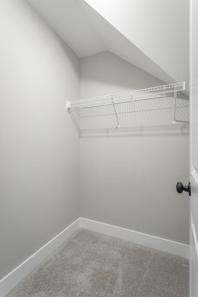 5118 Judd Way NW Unit 21, Cleveland, TN 37312 - spacious closet featuring carpet floors and lofted ceiling