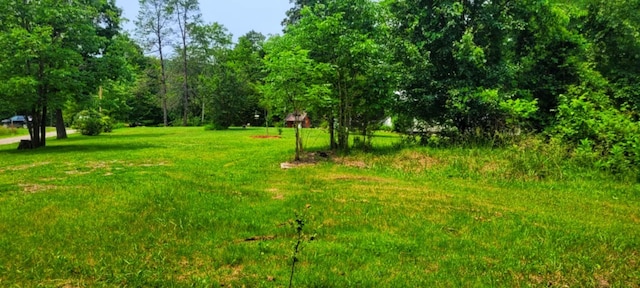 1591 Big Ridge Rd, Spring City, TN 37381 - photo 23