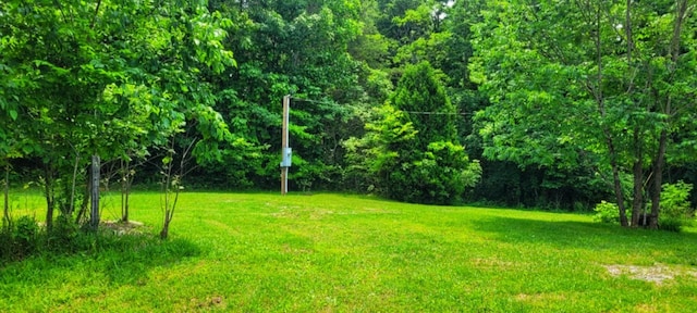 1591 Big Ridge Rd, Spring City, TN 37381 - photo 25
