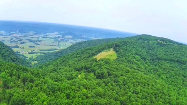 1591 Big Ridge Rd, Spring City, TN 37381 - photo 6