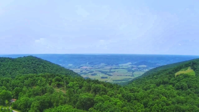 1591 Big Ridge Rd, Spring City, TN 37381 - photo 28