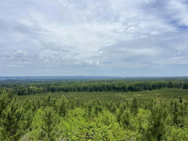 4875 New Union Rd, Dayton, TN 37321 - photo 31